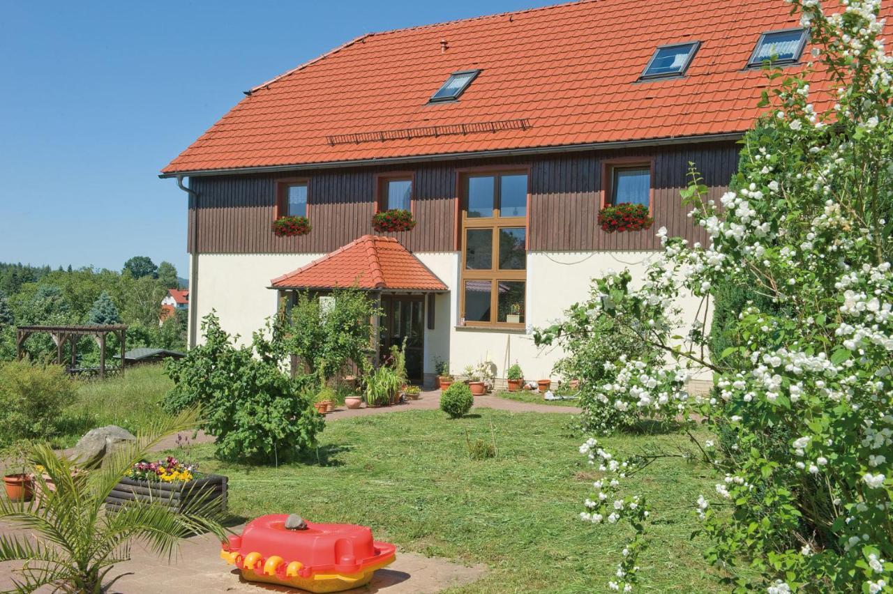 Ferienpension Gabriele 15 Kurort Gohrisch Esterno foto